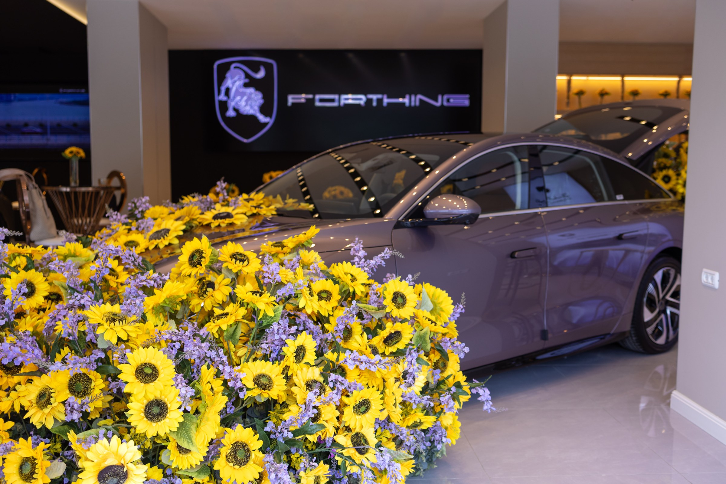 Forthing Event by Dina Events